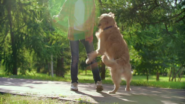 Boy Playing With His Dog