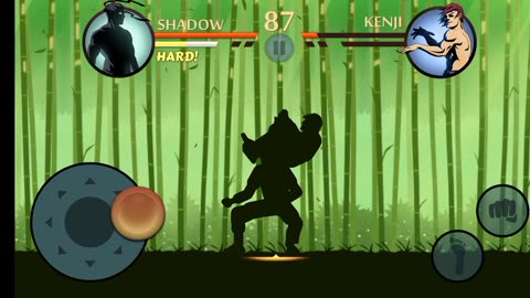 Shadow Fight gaming