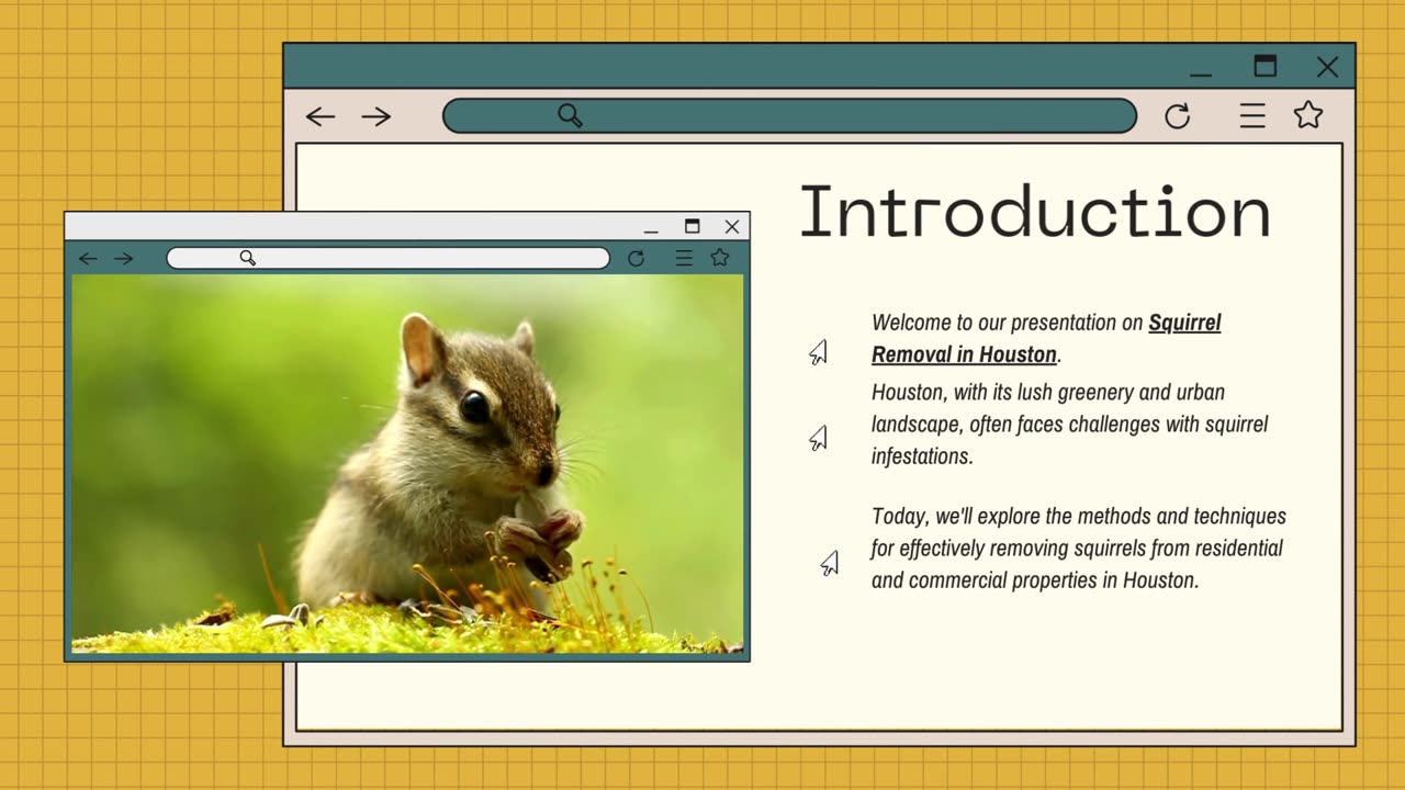 Solving Squirrel Intrusions in Houston Effective Removal Strategies
