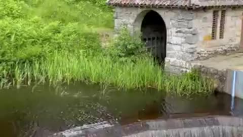 Nature - Beautiful and satisfying little waterfall.