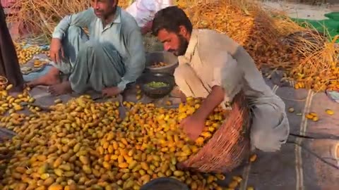 Traditional Dates Processing in Samall Willege of Pakistan