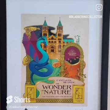 Fantastic Beasts The Wonder Of Nature MinaLima Print #harrypotter #fantasticbeasts #shorts #minalima