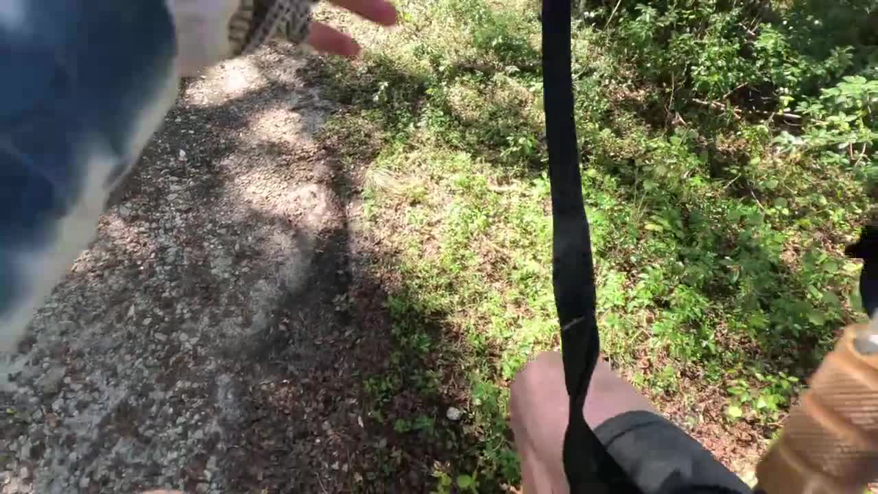 Green Course; Full Course 5.3K POV @30fps TreeHoppers, Aerial Adventure Park