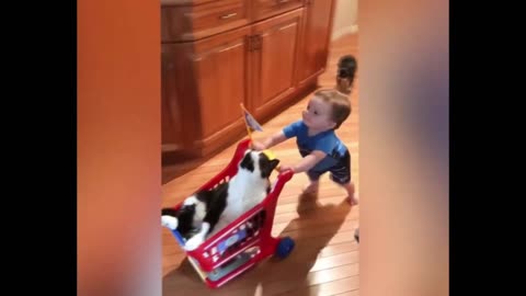 Funny Baby Clips 150