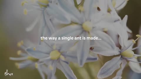 Our mind is a gift - 4 simple tools to overcome anxiety