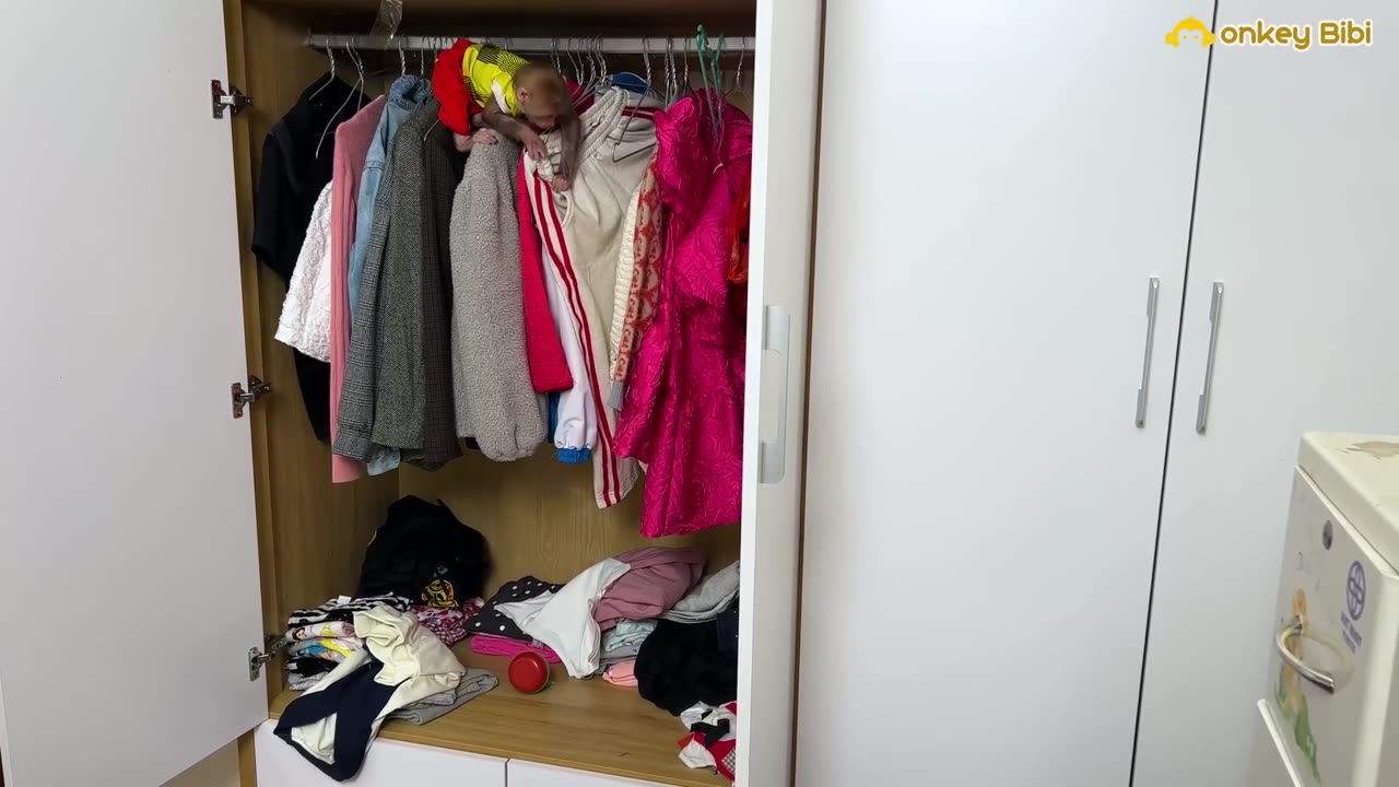 BiBi nosi ubrania Xuka