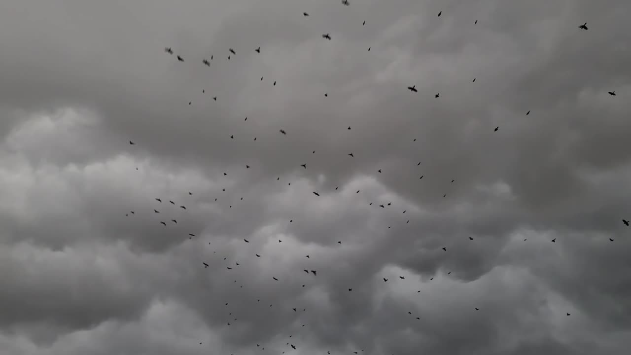 #birds #cloud #beautiful #view 🙏😎