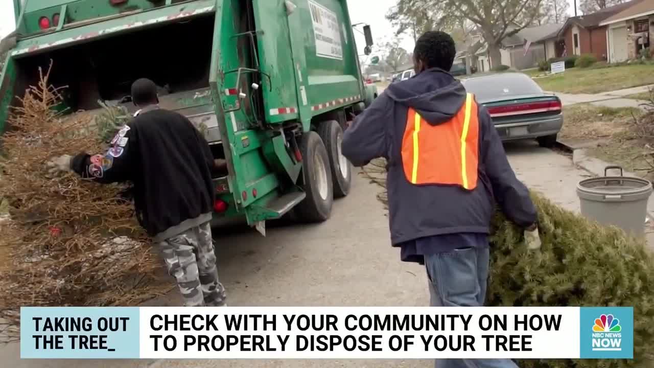 How To Recycle Your Christmas Tree