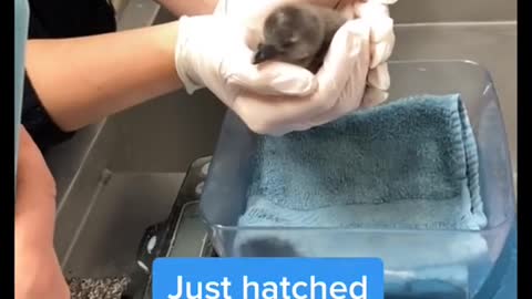 Just work things