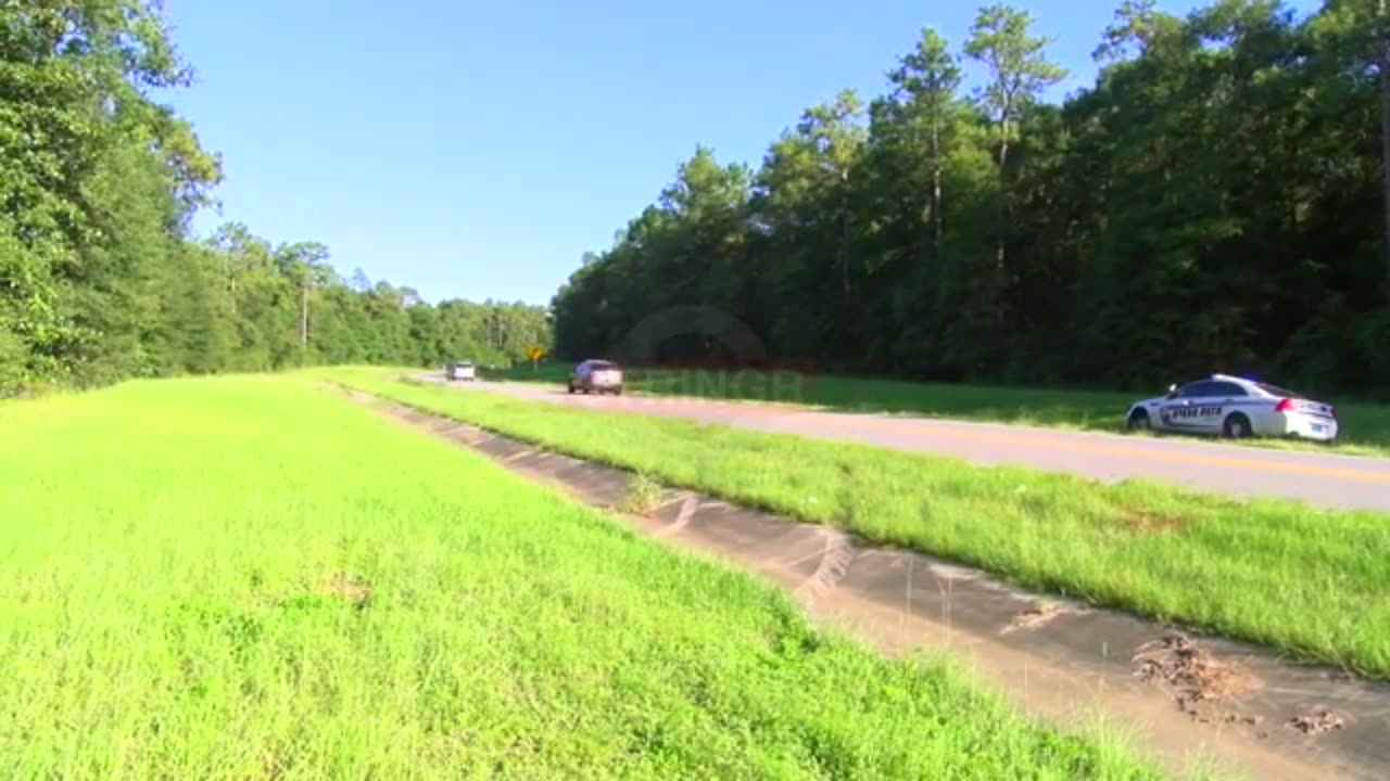 SUV Runs off Road, Crashes into Trees - Driver Taken to Hospital