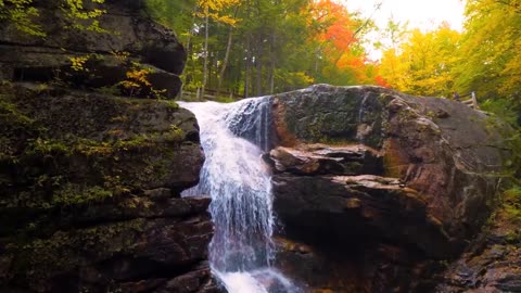 Enchanting Autumn Forests with Beautiful Piano Music