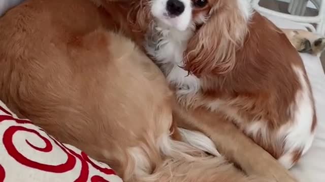 What happens under the mistletoe, stays under the mistletoe