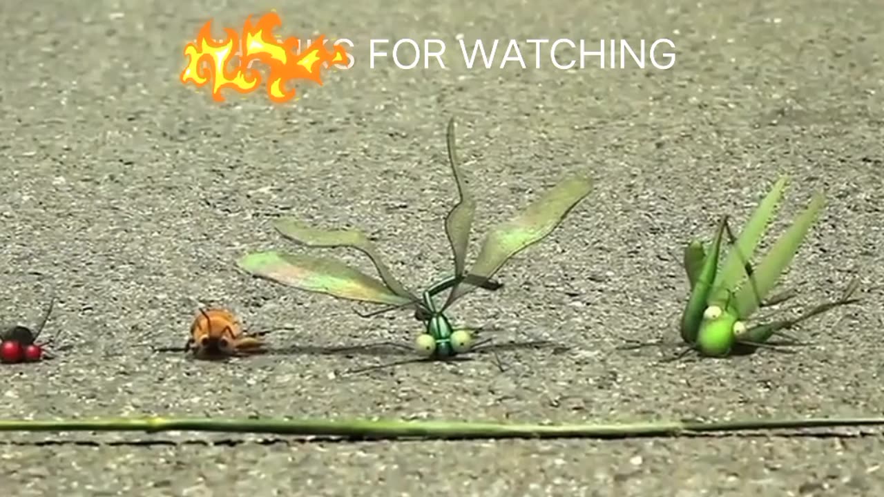 BUG'S RACING 2023