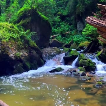 The Way - Psalm 1 #jesus #motivation #scripturereading