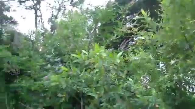 SAVE THE PLANET WITH URBAN AGRICULTURE - June 12th 2012