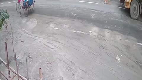 vairal dog accidents