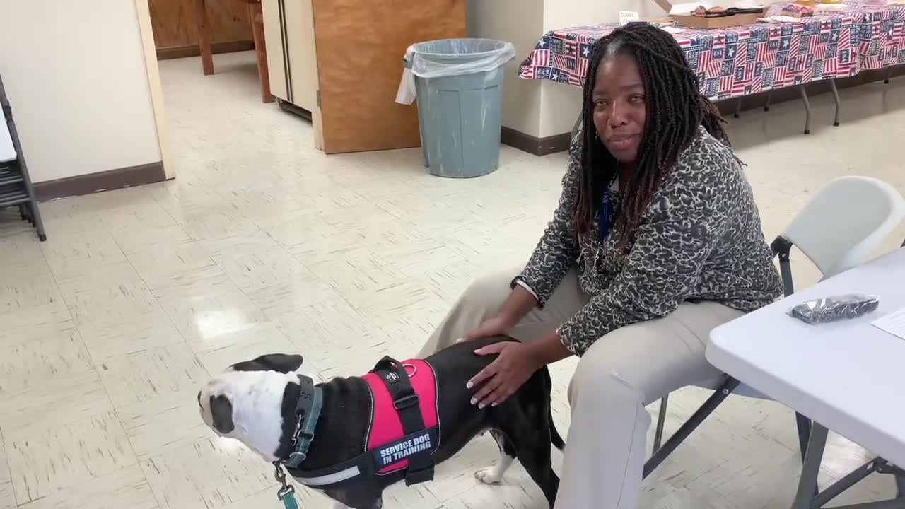 WATCH NOW: Rescue dog