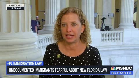 Wasserman-Schultz Says We Won't Have Food Without Mass Illegal Immigration