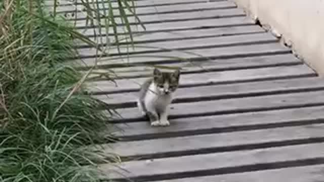 And then it's gone