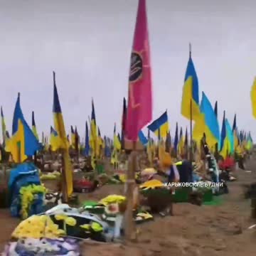 War in ukraine Donbass