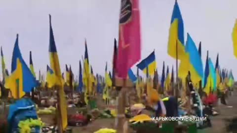 War in ukraine Donbass