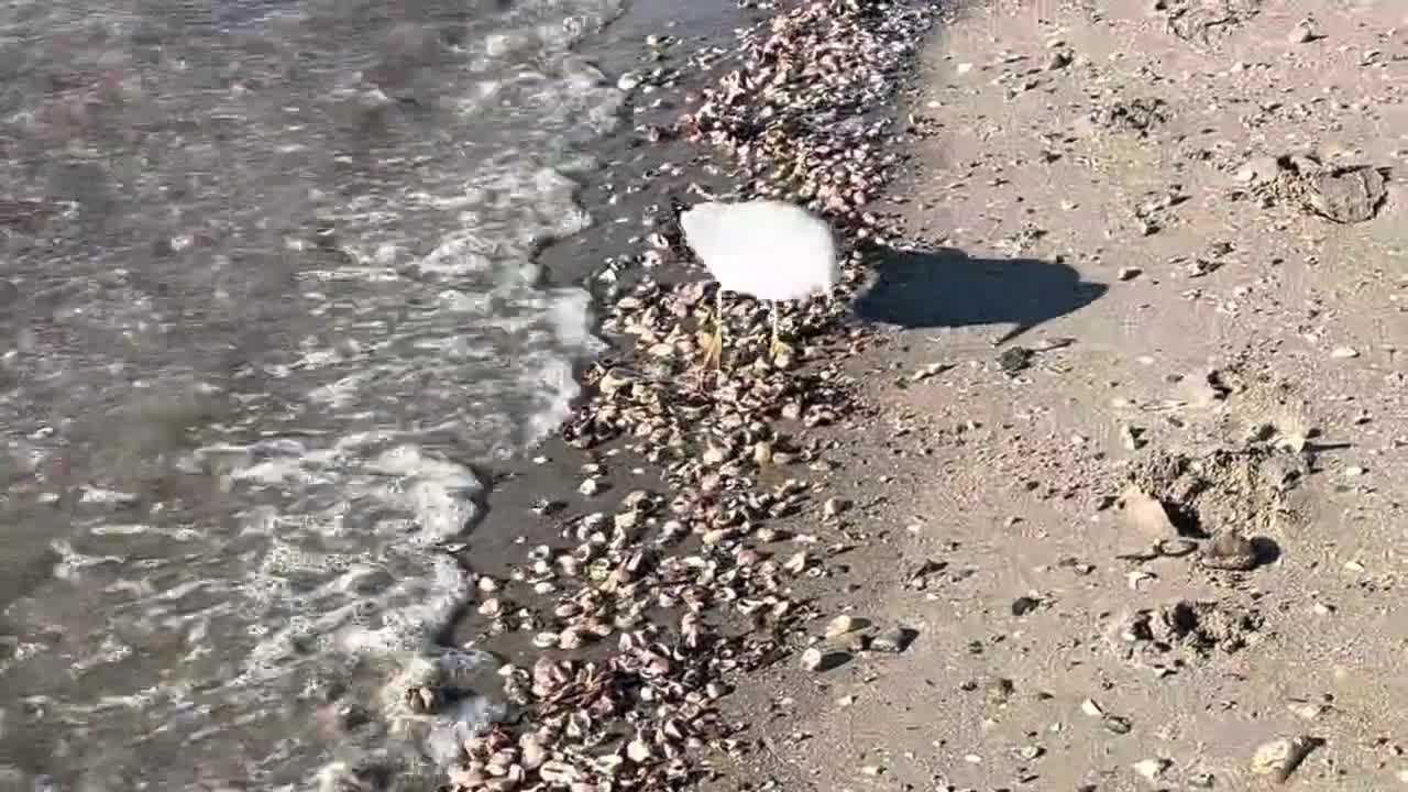 Il mare d’inverno Limpido e solitario