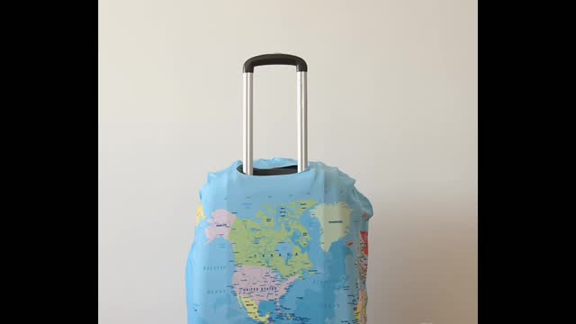 Cat is getting ready for vacation