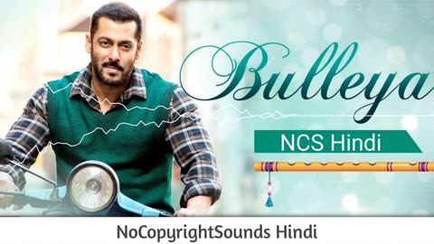 BULLEYA ： Sultan ｜｜ NoCopyright Hindi Songs