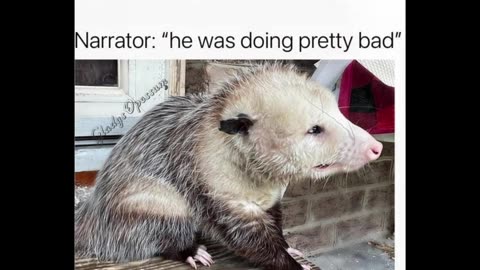 Random Memes 499