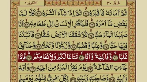 QURAN PARA 30