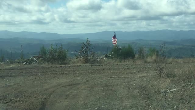 UsFlag out in the woods