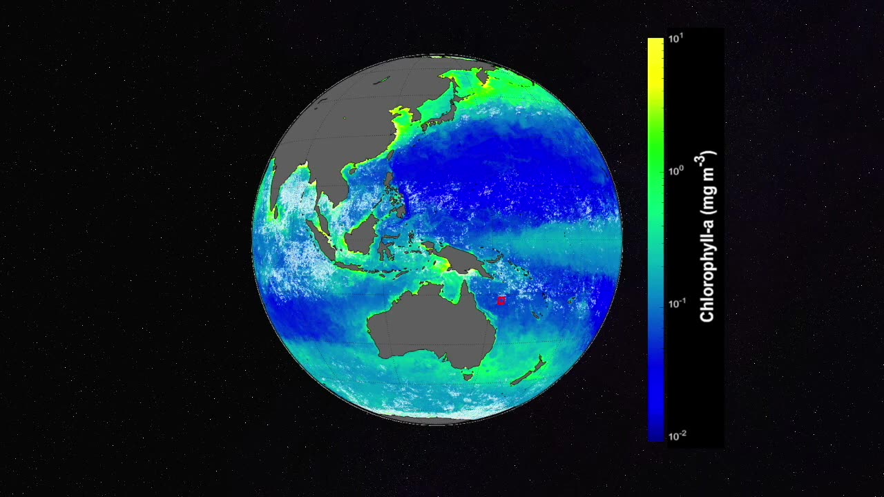 NASA's Symphony of the Seas: Sounds of the Coral Sea