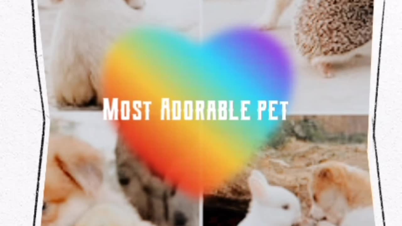 ADORABLE 💕 PETS