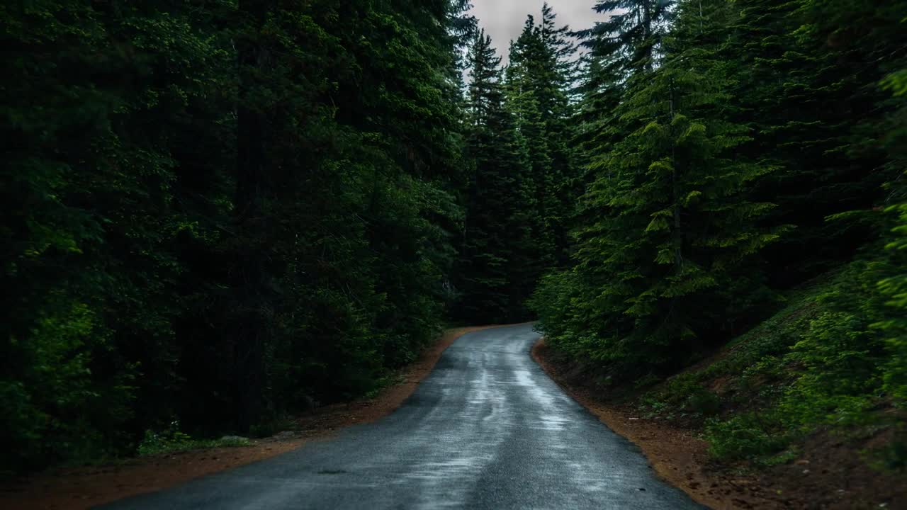 Forest road beautyful forest road Cinematic nature relaxing video beautiful place