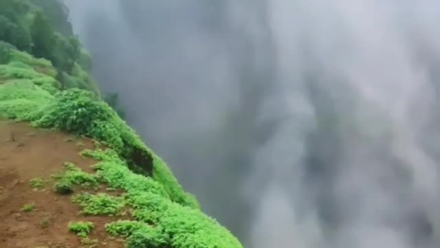 AMAZING NATURE