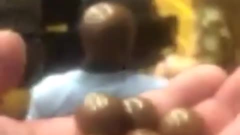 A head like chocolate