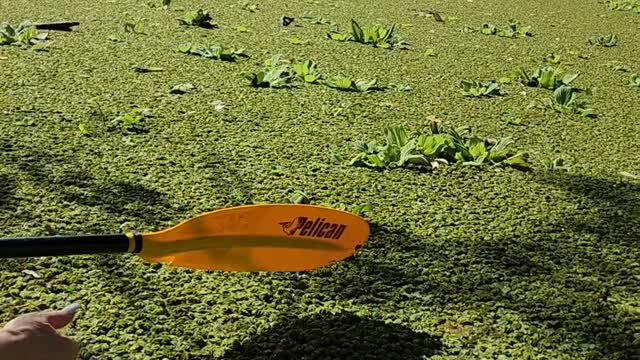 Rio Istian on Ometepe, Nicaragua