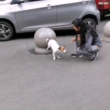 Look at that smart boy