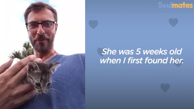 5-Week-Old_Kitten_Loves_Swimming_With_Her_Dad_|_The_Dodo_Soulmates(1080p)