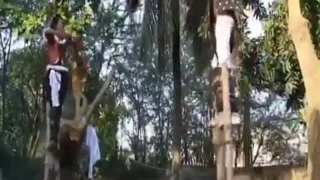 Amazing video