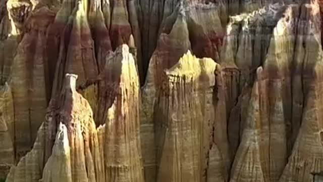 Magnificent Stone Forest Scenery