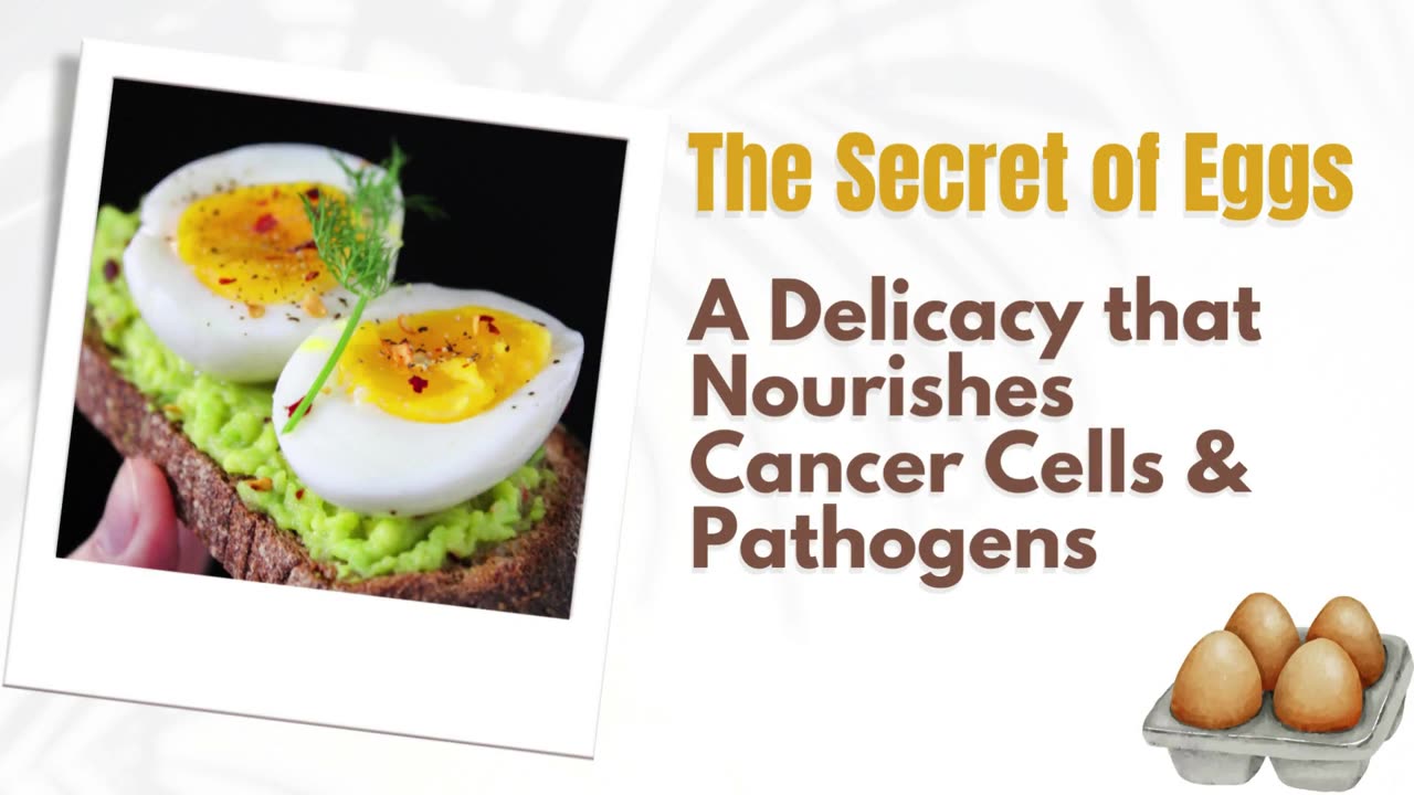 Eggs - A Delicacy that Nourishes Cancer Cells and All Pathogens