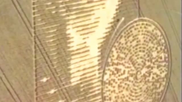 Do you believe crop circles are made by aliens