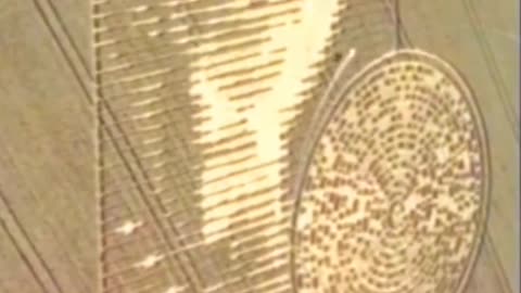 Do you believe crop circles are made by aliens