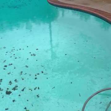 Lots of rain in Los Angeles