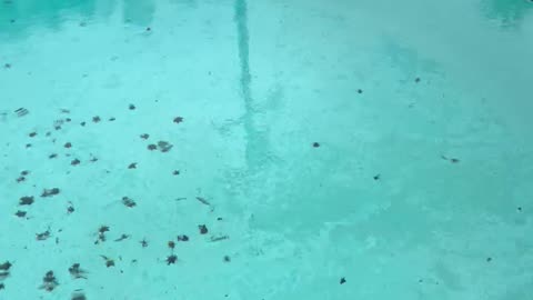Lots of rain in Los Angeles