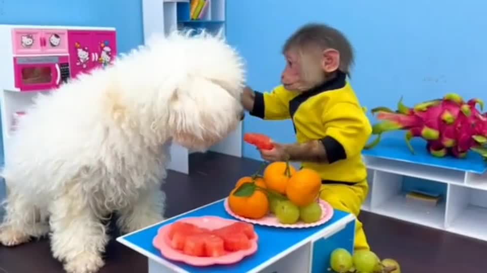 BiBi goes to the supermarket to buy fruit for Amee