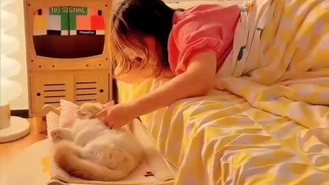 Homemade hanging bed for kitten