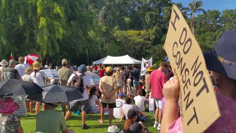 Clive Palmer speech - Worldwide Rally for Freedom, Peace & Rights in Brisbane, Australia