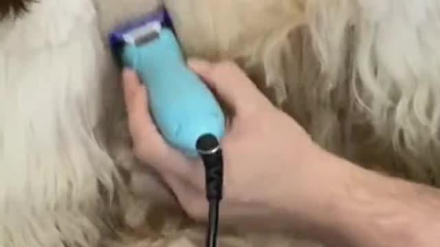 Raspa ou não Raspa
